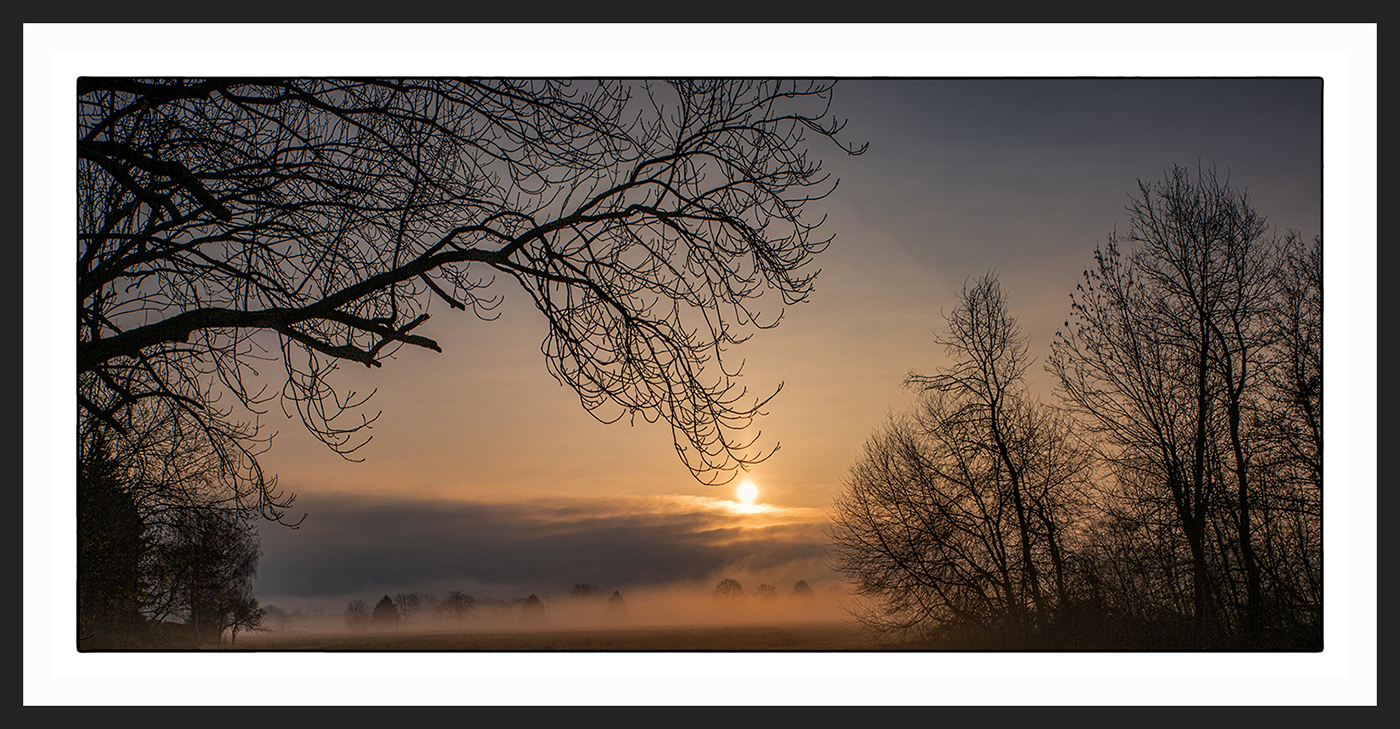 SA Elzwiesen 4050 2020 HDR 1400px