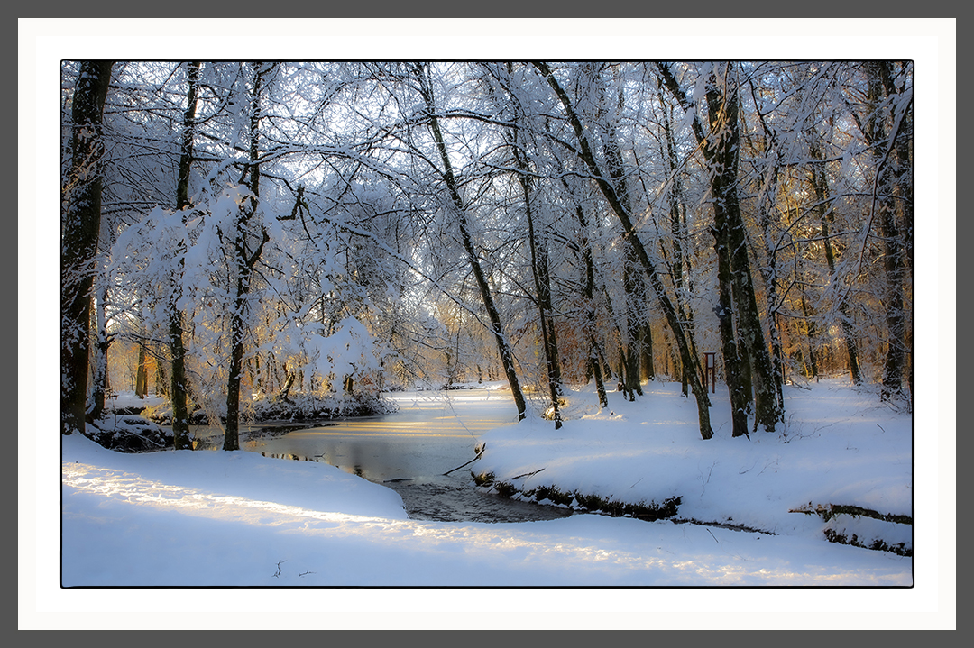 Wintersonne am Waldsee 4456 2921b HDR soft 1000px