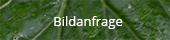 Bildanfrage