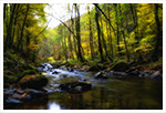 schwarzwald herbst