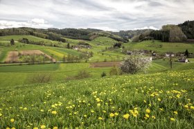 Phoca Thumb M Landschaft Schuttertal 2115 2018