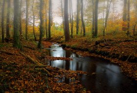 Phoca Thumb M Allmend Herbstbach 0029 2016