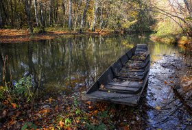 Phoca Thumb M Altrhein Nachen Herbst 3601 2020 1400px