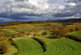 Phoca Thumb M Malterdingen Rebland Herbst 3452 2020 1400px