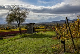 Phoca Thumb M Rebhaeusle Herbst 3407 2020 1400px