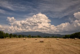 Phoca Thumb M Sommer Gewitterwolken 5451 2018